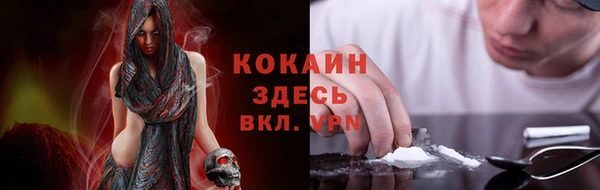 прущие грибы Володарск