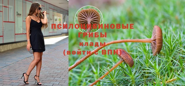 прущие грибы Володарск